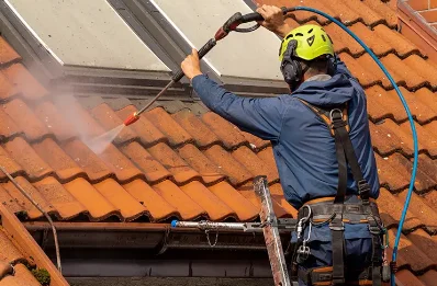 Démoussage et hydrofuge de toiture à Aressy